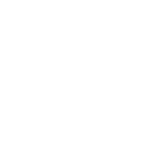 PERSONAL SERVICE