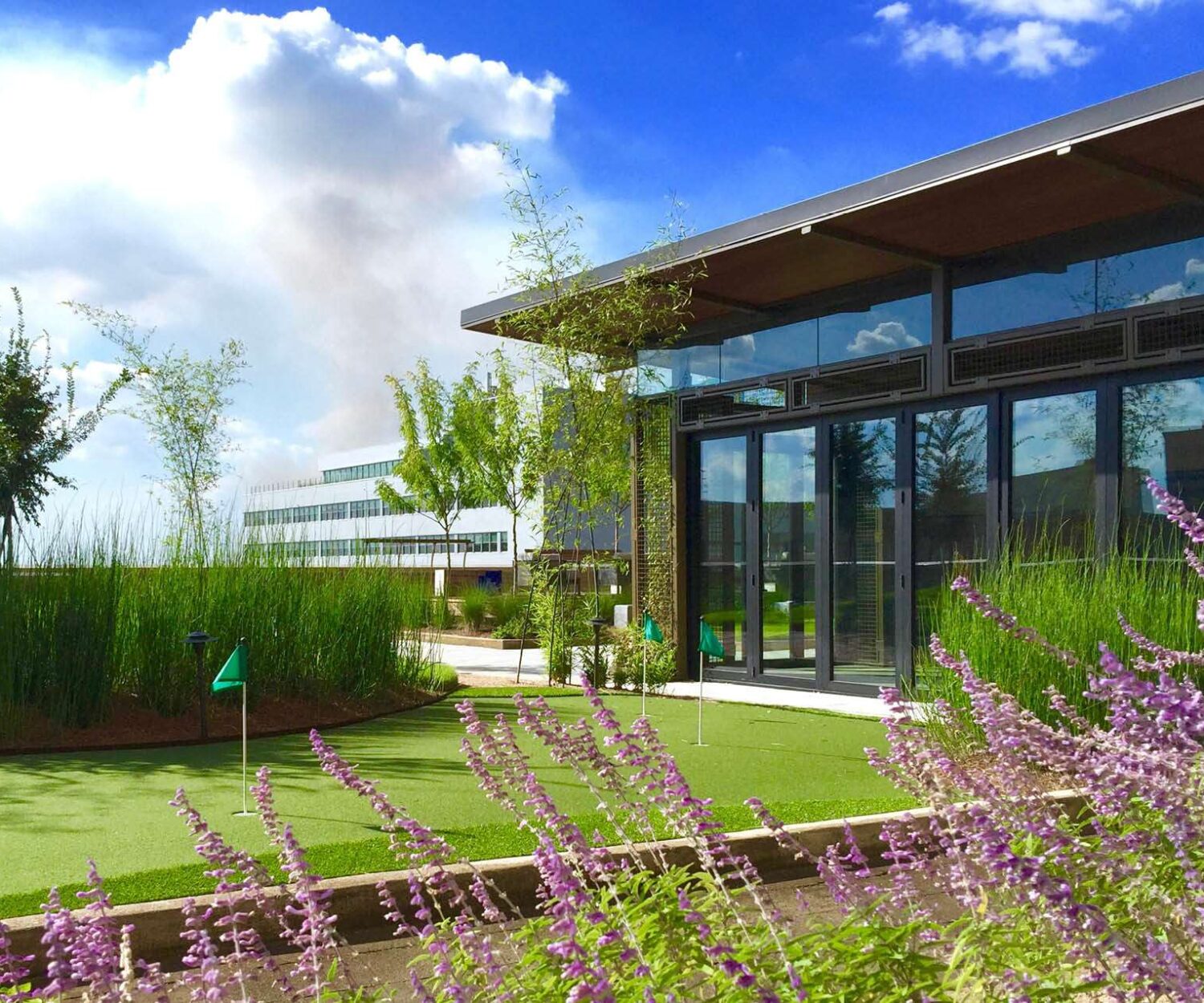 Taylor Porter Rooftop Terrace