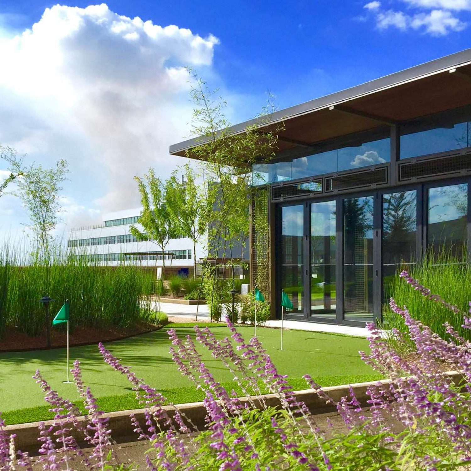 Taylor Porter Rooftop Terrace