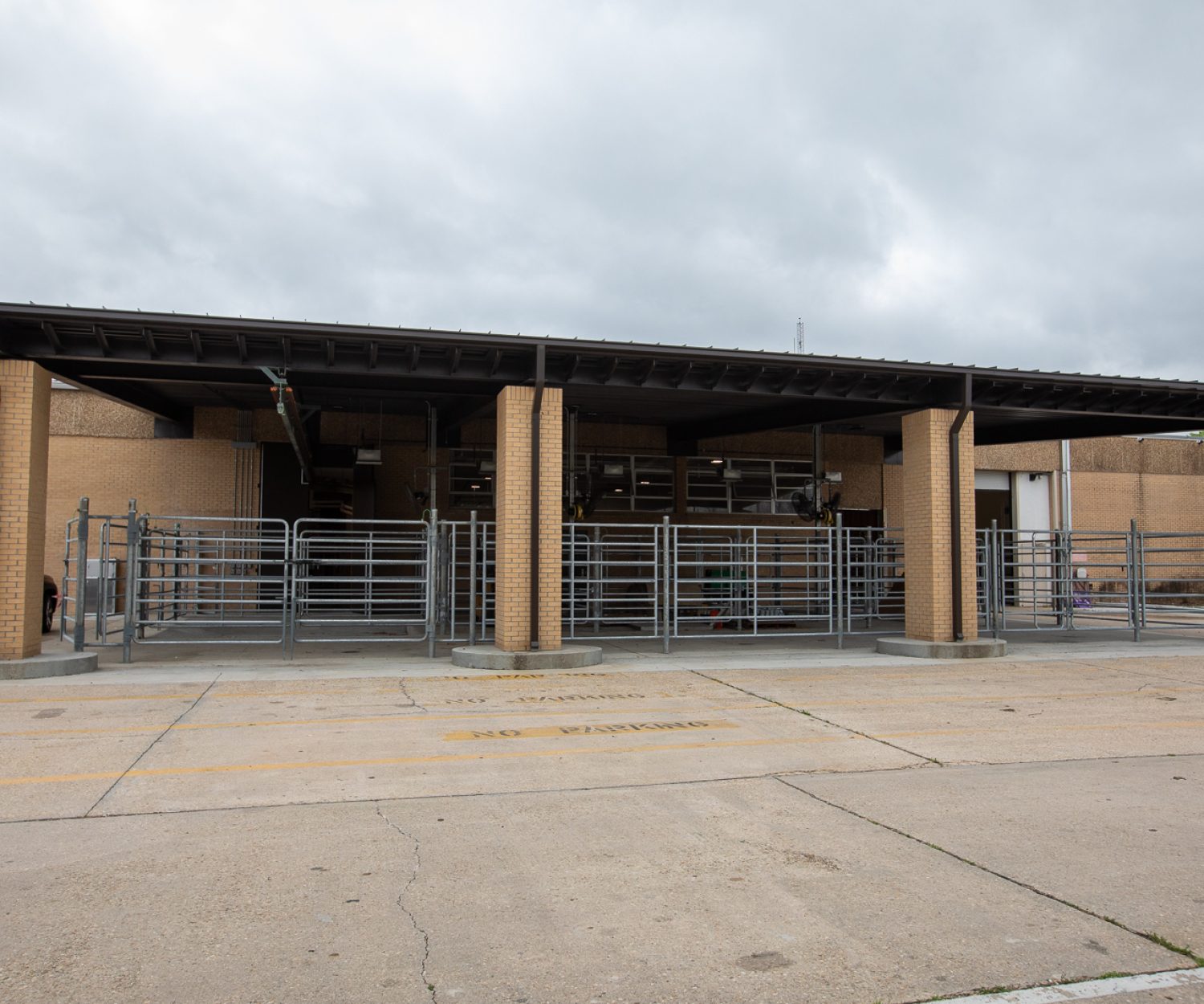 LSU Veterinary Sciences