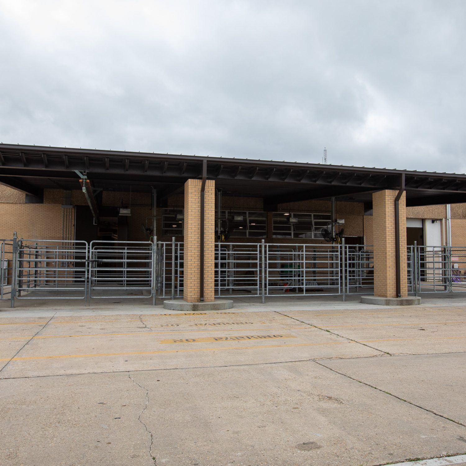 LSU Veterinary Sciences